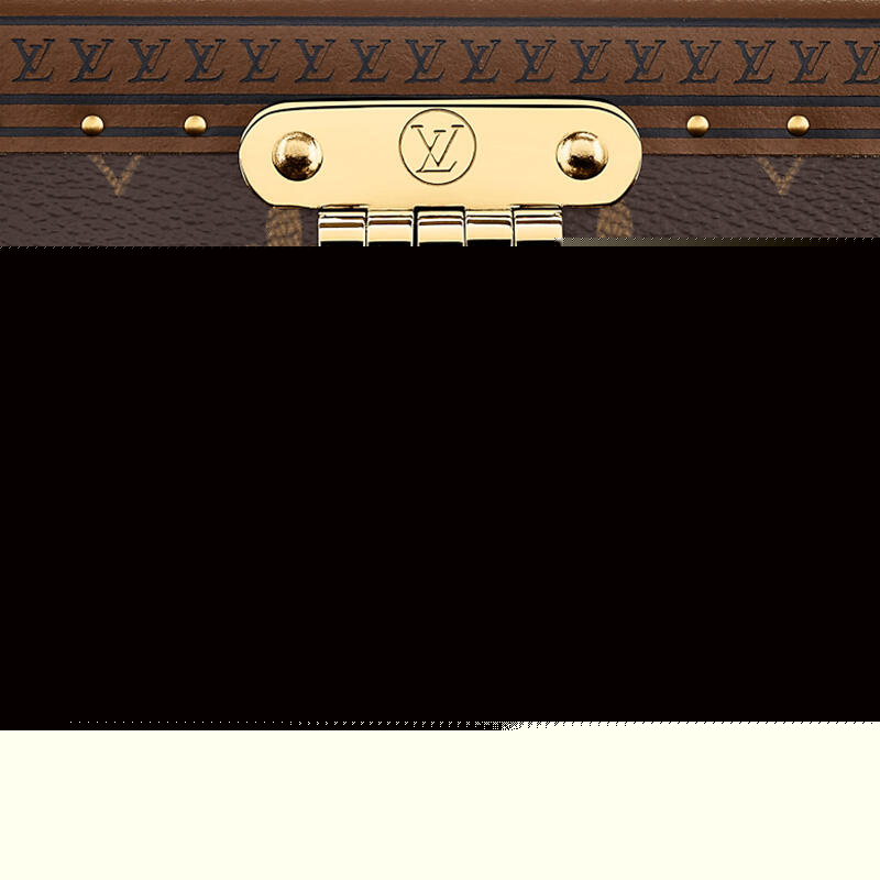 l0vis Vvtt0n 8 watch case m47641 (35*18*11cm)